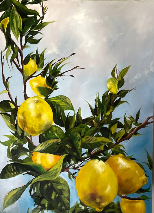 Sunshine on a tree